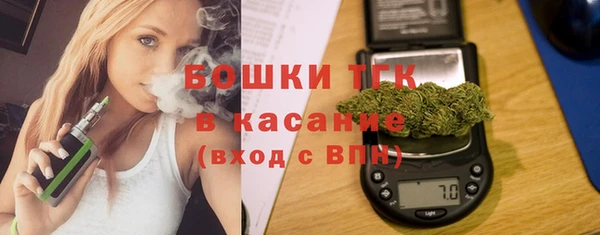 гашик Арсеньев