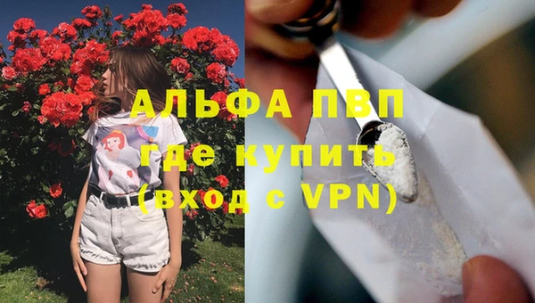 гашик Арсеньев